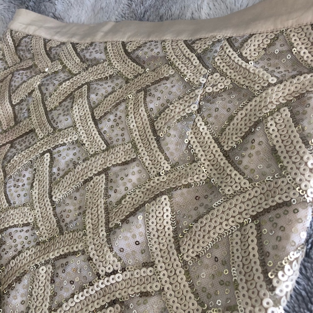 Beige and Gold Sequin Skirt - Picture 4 of 6